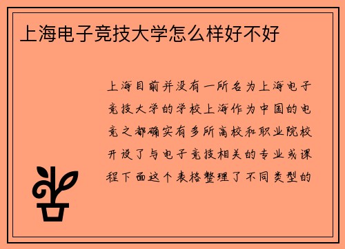 上海电子竞技大学怎么样好不好